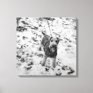 A dog wearing a jacket. canvas print