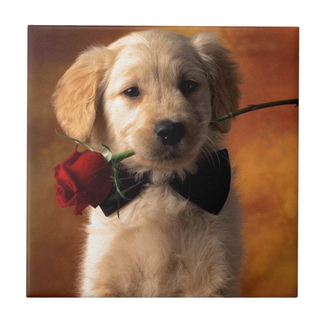 A Dog With A Flower Ceramic Tile (Front)