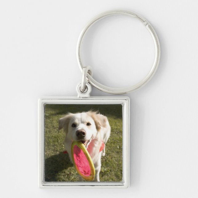 A dog with a frisbee keychain (Front)