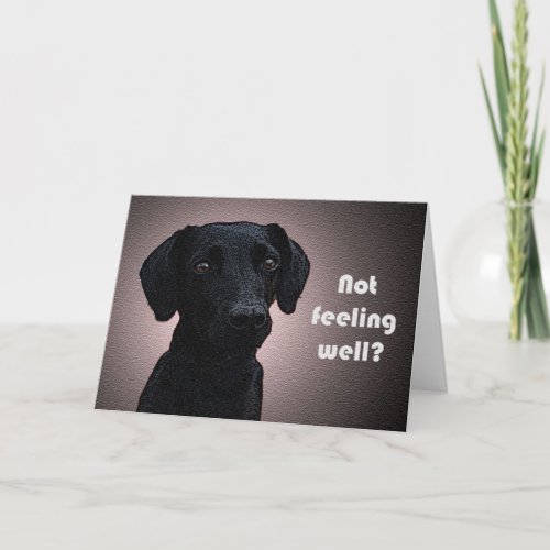 A Dogs Remedy Get Well Card