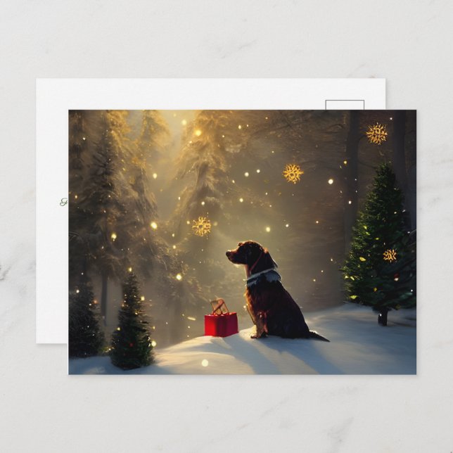 A Dog's Winter Light Greeting Christmas Card (Front/Back)