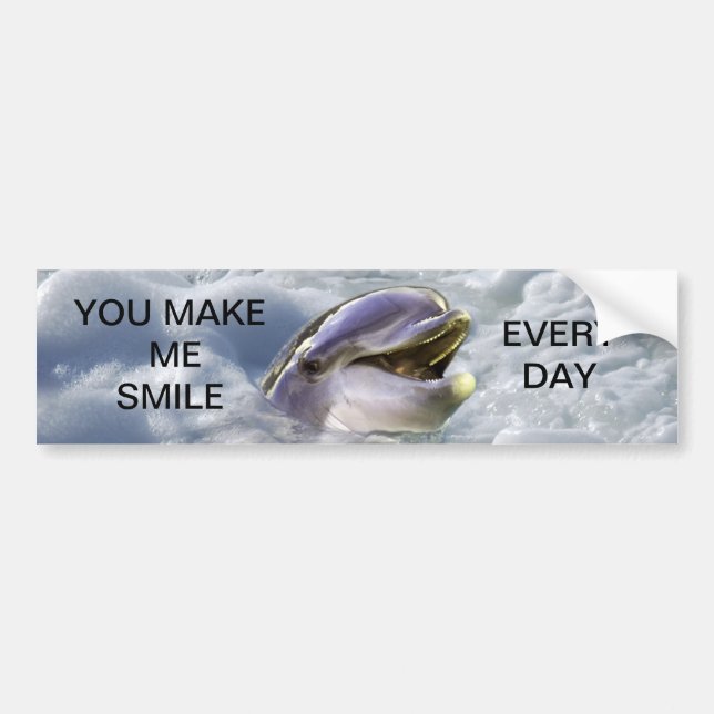 A dolphins best smile bumper sticker (Front)