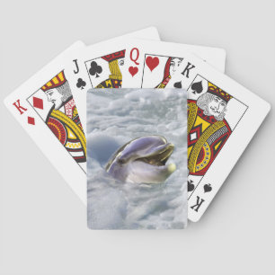 A dolphins best smile poker cards