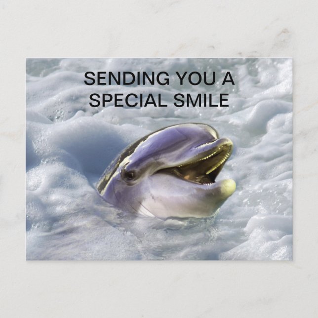 A dolphins best smile postcard (Front)