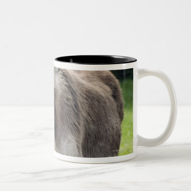 A donkey Two-Tone coffee mug (Right)