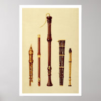 A double flageolet, a German flute, a bass recorde
