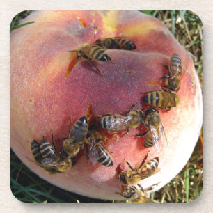 A Dozen Bees And A Peach Coaster