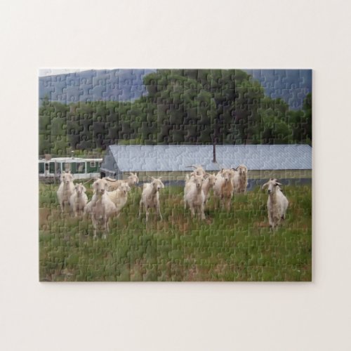 A Dozen Kids at Pasture v2 Jigsaw Puzzle