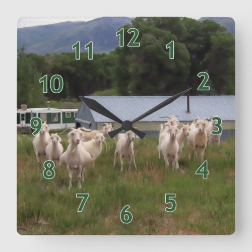 A Dozen Kids at Pasture v2 Square Wall Clock