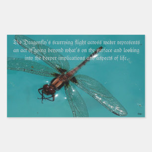 A Dragonflies Life 2 Sticker