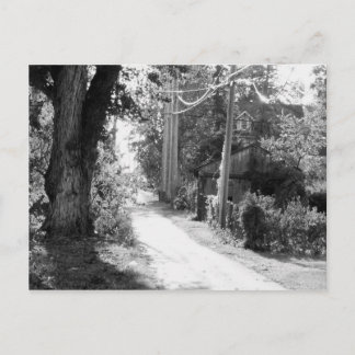 A Dream of Black and White Postcard