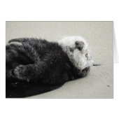 A dreaming sea otter (Front Horizontal)