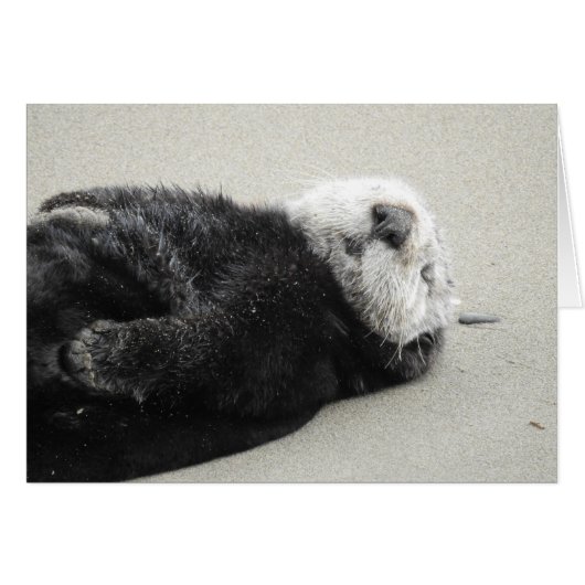 A dreaming sea otter cards (Front Horizontal)