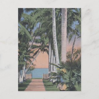 A Dreamy Florida Site Postcard