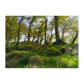 A Dreamy Whisper through the Trees Acrylic Print