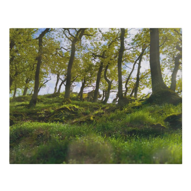 A Dreamy Whisper through the Trees Faux Canvas Print (Front)