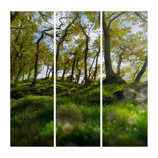 A Dreamy Whisper through the Trees Triptych (Front)