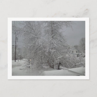 A dreary Winter Day Postcard