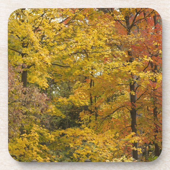 a drink coaster (Front)