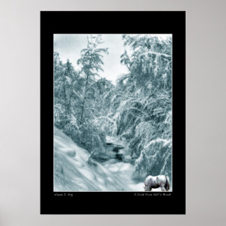 A Drink from Halls Brook Poster