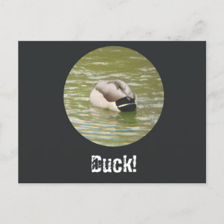 A Ducking Duck Postcard