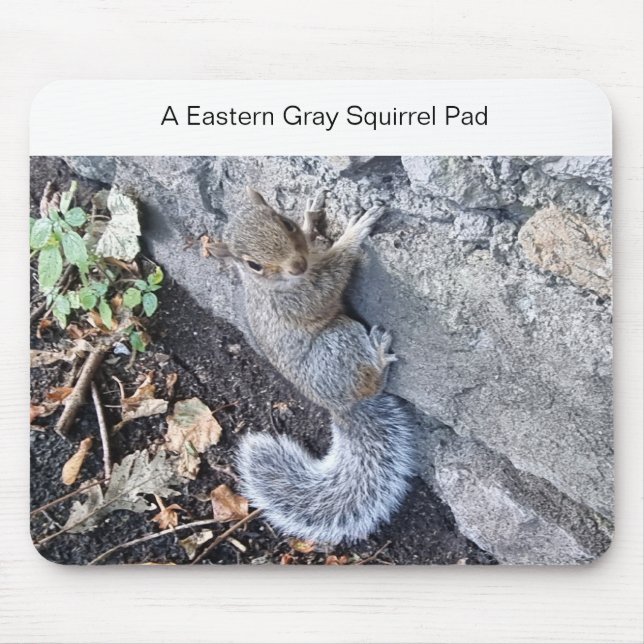 A Eastern Gray Squirrel Mousepad (Front)
