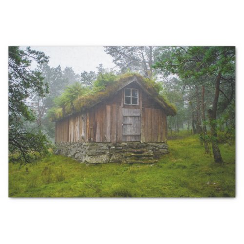 A Fairy Cabin in the Forest  Tissue Paper