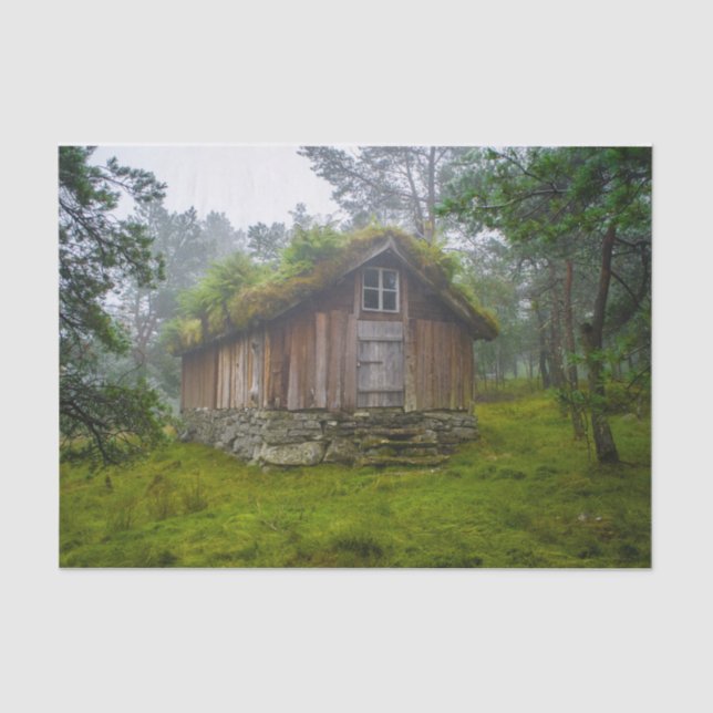 A Fairy Cabin in the Forest  Tissue Paper (Front)