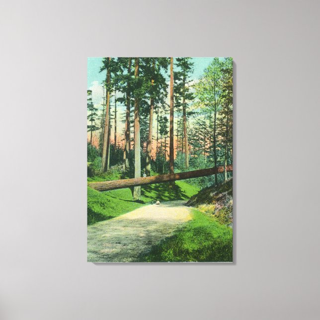 A Fallen Tree at Woodland Park Scene Canvas Print (Front)