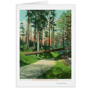 A Fallen Tree at Woodland Park Scene Cards