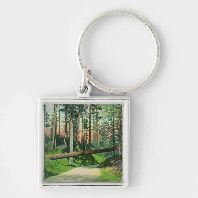 A Fallen Tree at Woodland Park Scene Keychain (Front)