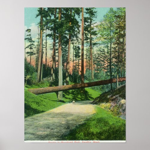 A Fallen Tree at Woodland Park Scene Poster