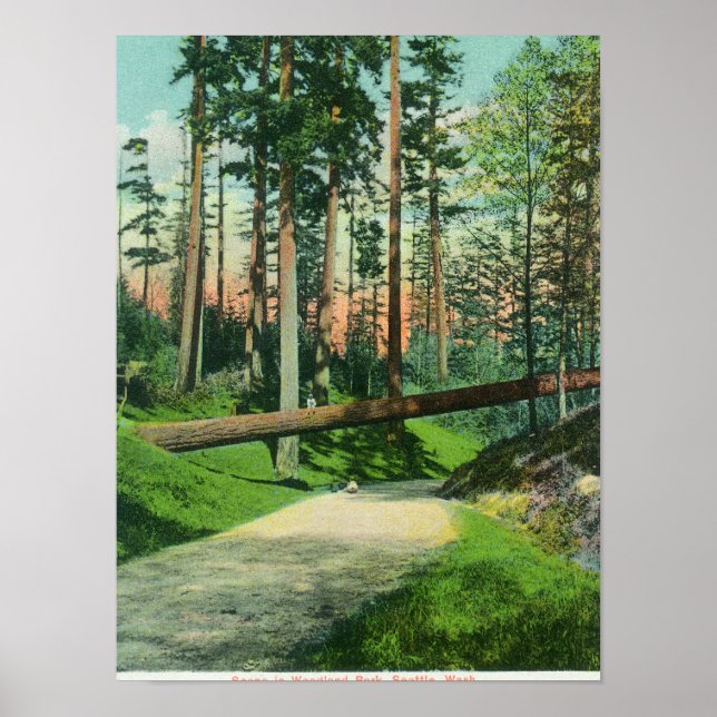 A Fallen Tree at Woodland Park Scene Poster (Front)
