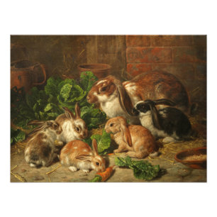 A Family of Rabbits by Alfred Richardson Barber Photo Print
