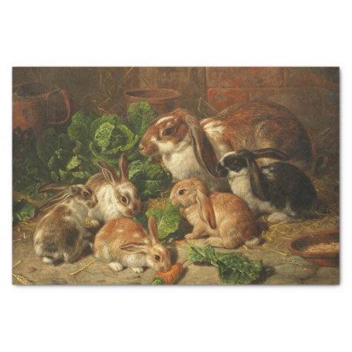 A Family of Rabbits by Alfred Richardson Barber Tissue Paper