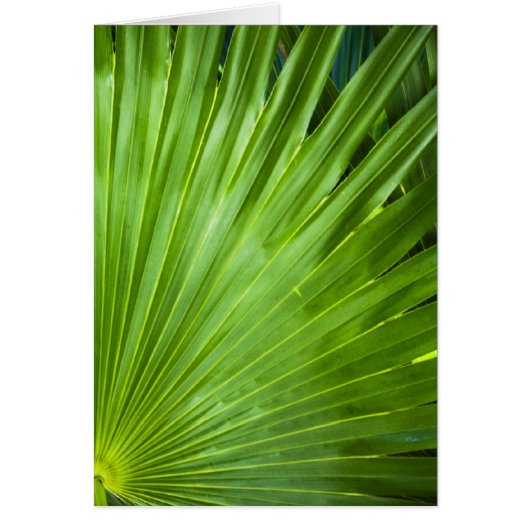 A Fan of Green Cards (Front)