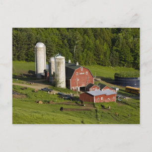 A farm in Barnet Center, Vermont. Connecticut Postcard
