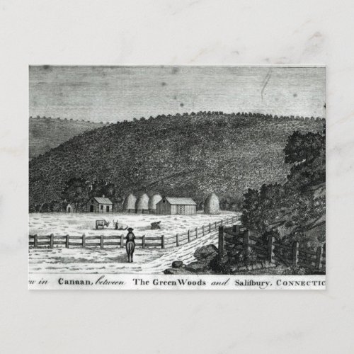 A Farm in Canaan Connecticut Postcard