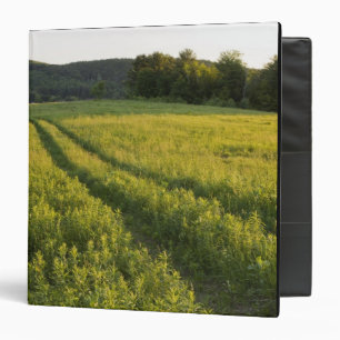 A farm road in Sabins Pasture in Montpelier, Binder