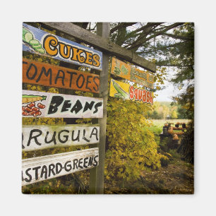 A farm stand in Holderness, New Hampshire. Magnet
