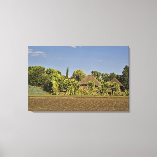 A farmed field in front of thatched roof houses canvas print