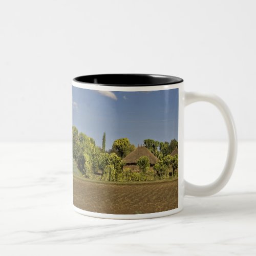A farmed field in front of thatched roof houses Two_Tone coffee mug
