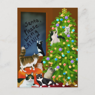 A Feline Family Christmas Postcard