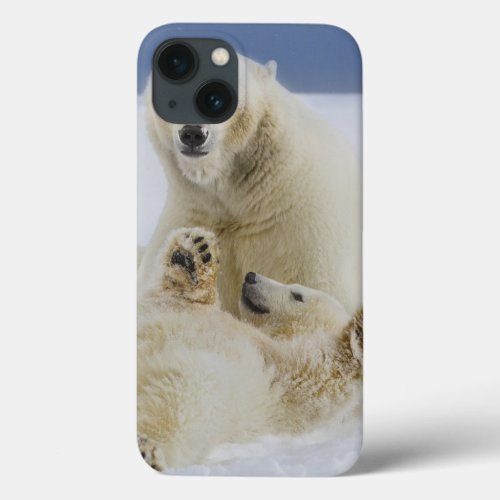 A female polar bear and her cub play in the snow iPhone 13 case