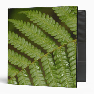A fern detail, from Mindo Cloud Forest, 3 Ring Binder