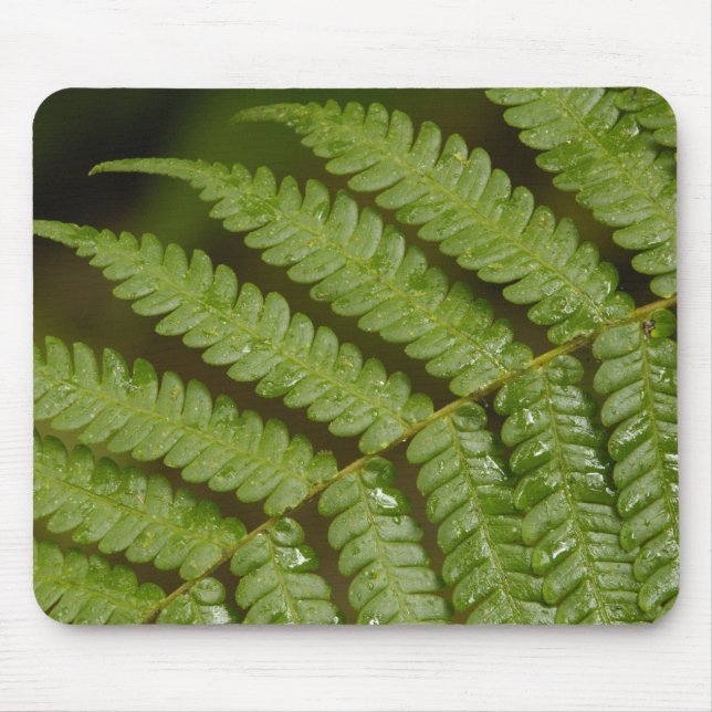 A fern detail, from Mindo Cloud Forest, Mouse Pad (Front)