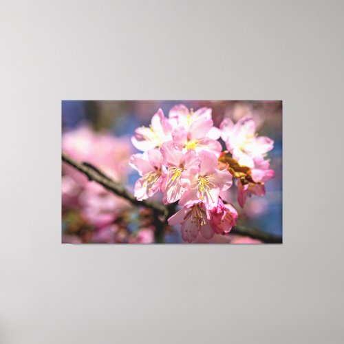 A Festival Of Pink Sakura Flowers In Spring Canvas Print