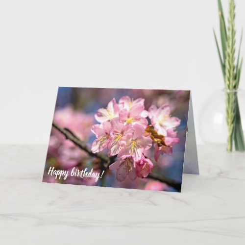 A Festival Of Pink Sakura Flowers In Spring Card