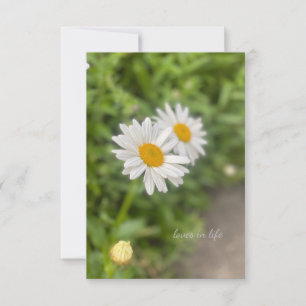 A Few Daisies Note Card
