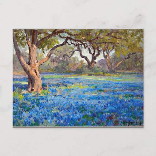 A Field of Bluebonnets at Alamo Heights 1919 Postcard